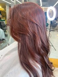 -潘多拉Hairsalon