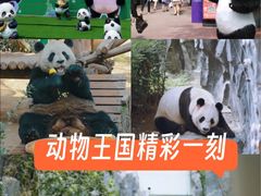 -五龙山野生动物王国
