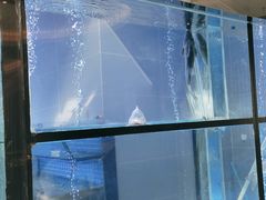 -王家渡火锅店(棕榈泉店)