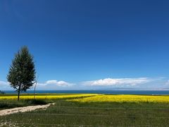-青海湖国家重点风景名胜区