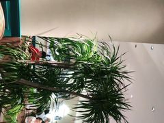 -南越郡·越式风味餐厅(青秀万达店)