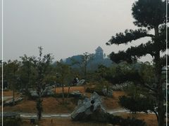 -王借岗森林公园