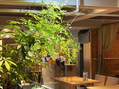 -本处·素食·融合料理(南油店)