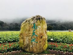 -广州市石门国家森林公园