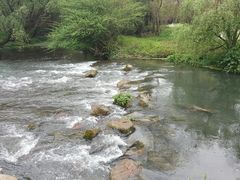 -贵阳市花溪国家城市湿地公园