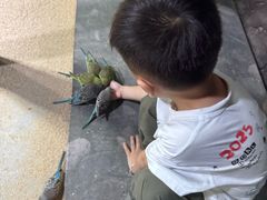 -嘉兴海底世界