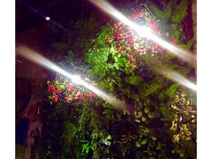 -胡桃里乐队酒馆(鎏嘉码头店)