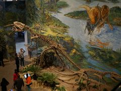 -自贡恐龙博物馆