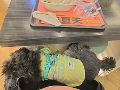 -超级碗FOODBOWL(成都来福士店)
