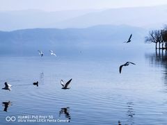 -西昌邛海湾柏樾酒店(原邛海湾柏栎度假酒店)