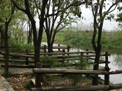 -新江湾城公园