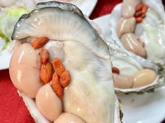 -花苑美食横琴生蚝火锅(拱北粤华路店)
