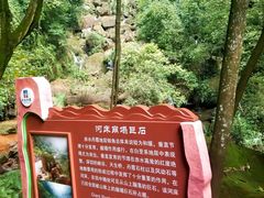 -赤水丹霞旅游区·佛光岩