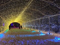 -长春世界雕塑园冰雪艺术天地