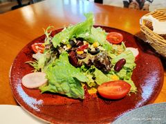 田园时蔬沙拉-布拉格餐厅· 中欧捷克菜(全国首店)