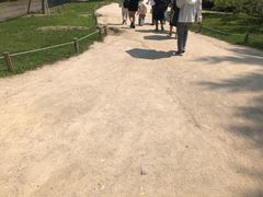 -景福宫