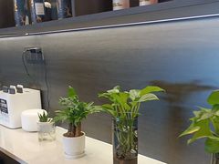 -鹿栖(佛山季华园店)