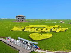 -红海滩国家风景廊道