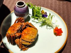 -樽宴酒楼·地道川菜·品质宴请