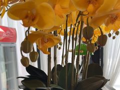 -芳芳私房菜·精作淮扬菜(玖珑湾店)