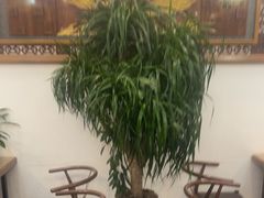 -白家寨子·山野白族菜(古城总店)