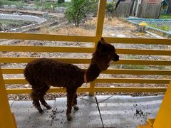 -美家乐农庄·露营·团建(大治路店)