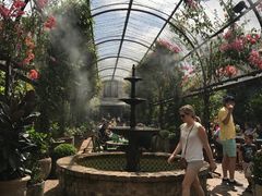 -The Grounds of Alexandria