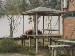 -苏州太湖国家湿地公园