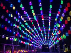 -霸王河欢乐世界