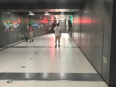 -北京康莱德酒店