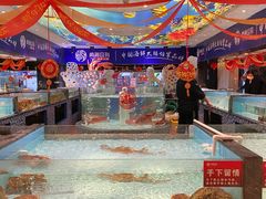 水产区-尚海豆捞(乐虹坊店)