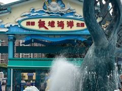 -海合安成都极地海洋公园