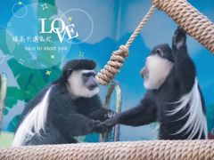 -石家庄市动物园