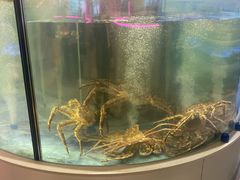 -海底捞大排档火锅(打浦路店)