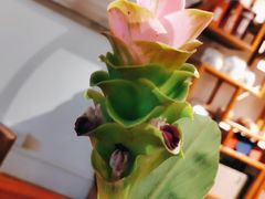 -七色云蔬食(喜邻里店)