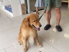 -美联众合24小时·皮肤科·外科·全科诊疗中心(华苑分院)