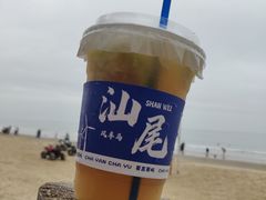 -汕尾风车岛