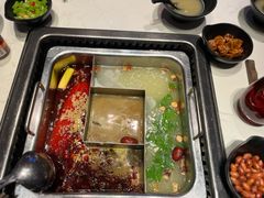 -鼎膳常火锅(华阳店)