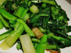 钵钵广东菜心-佬肥猫(国华广场店)