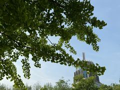 -元大都城垣遗址公园