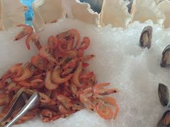 -视界美食自助餐厅·石家庄希尔顿酒店