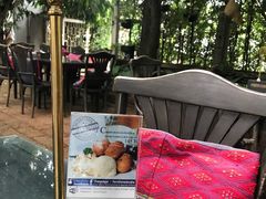 -Fern Forest Cafe