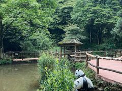 -碧峰峡风景区