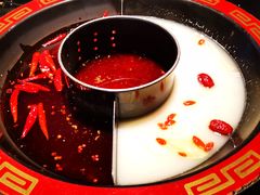 -宽巷子成都火锅(南站店)
