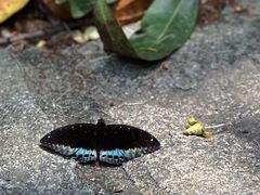 -水濂山森林公园