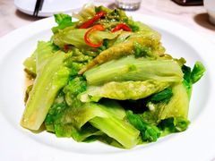 春色满园椒丝腐乳唐生菜-汤城小厨•粤菜•靓汤(西直门凯德MALL店)