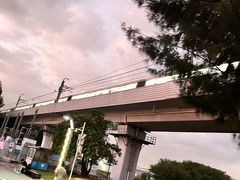 -宝安西湾红树林湿地公园