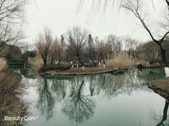 -青枫公园