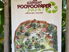 -大象粑粑造纸公园