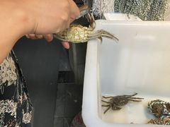 -黄记大闸蟹专卖店·活蟹·醉蟹